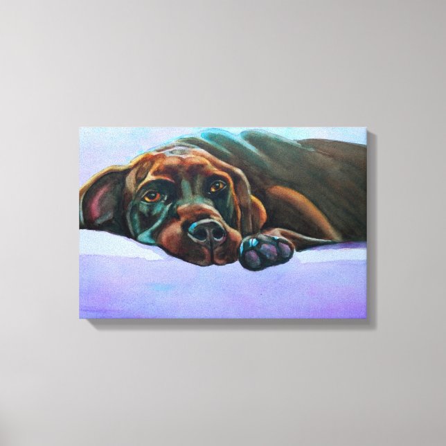 Relaxed Chocolate Lab Canvas Print (Front)