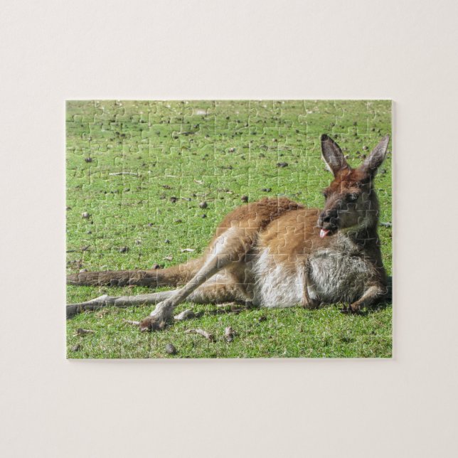 Relaxed Kangaroo Puzzle (Horizontal)