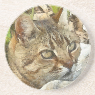 Relaxed Tabby Cat Resting In Garden Pencil Sketch Coaster