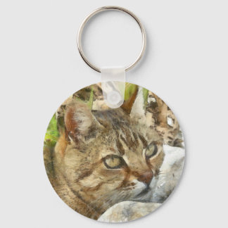 Relaxed Tabby Cat Resting In Garden Pencil Sketch Key Ring