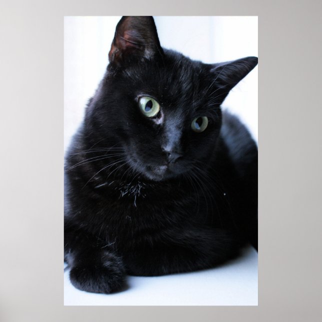 Relaxin Poster (Front)