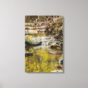 Relaxing At North Wears Canvas Print