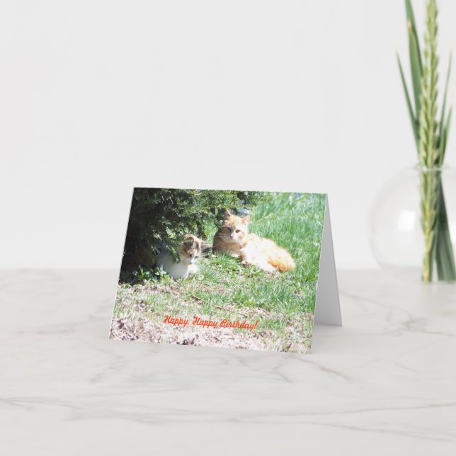 Relaxing Birthday, Cats & Cake Card (Front)