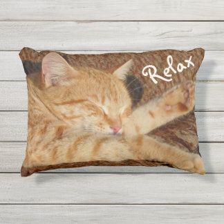 Relaxing Cat Outdoor Cushion