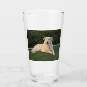 Relaxing Dog Glass