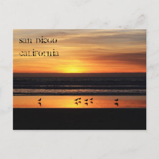 Relaxing in San Diego Postcard