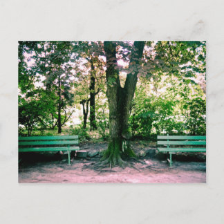 Relaxing postcard