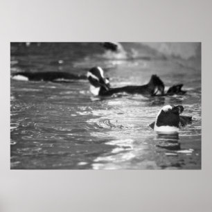 Relaxing Poster