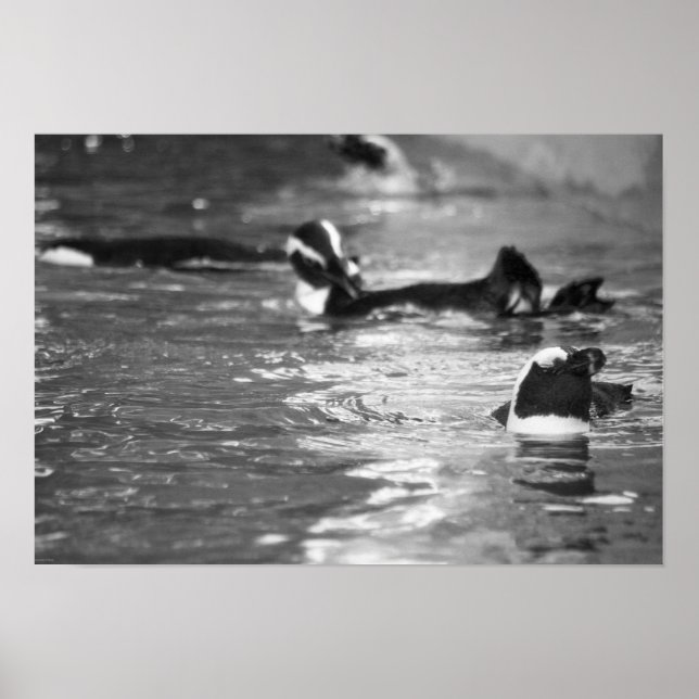 Relaxing Poster (Front)