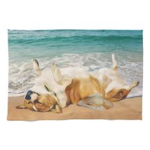 Relaxing Welsh Corgi on the Beach