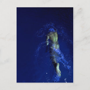 Relay Solo Postcard