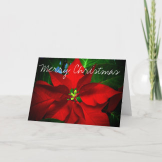 Religious Christmas Card