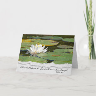 religious verse white water lily card