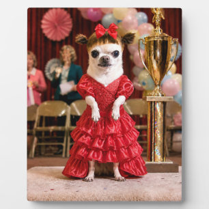 Reluctant Chihuahua Beauty Pageant Winner Plaque