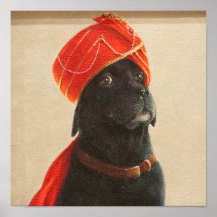 Reluctant Maharaja 2010 Poster