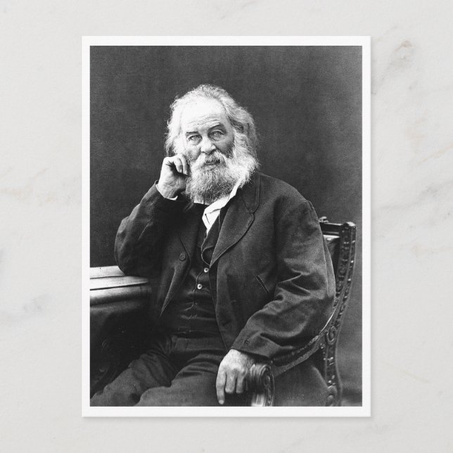 Remain "Cool and Composed" Motivational Quote Postcard (Front)