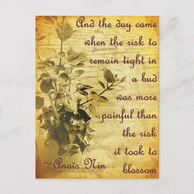 Remain Tight in the Bud Postcard (Front)