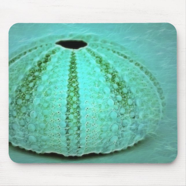 remains mouse pad (Front)