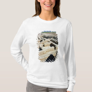 Remains of houses T-Shirt