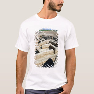Remains of houses T-Shirt