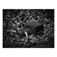 "Remanence of Bygone Days"