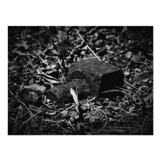 "Remanence of Bygone Days" Photo Print (Front)