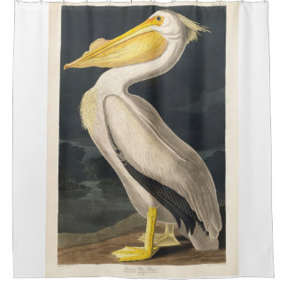 Remastered Audubon American White Pelican Shower Curtain