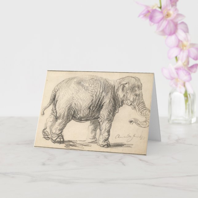 Rembrandt, An elephant, 1637, Fine Art Card (Orchid)
