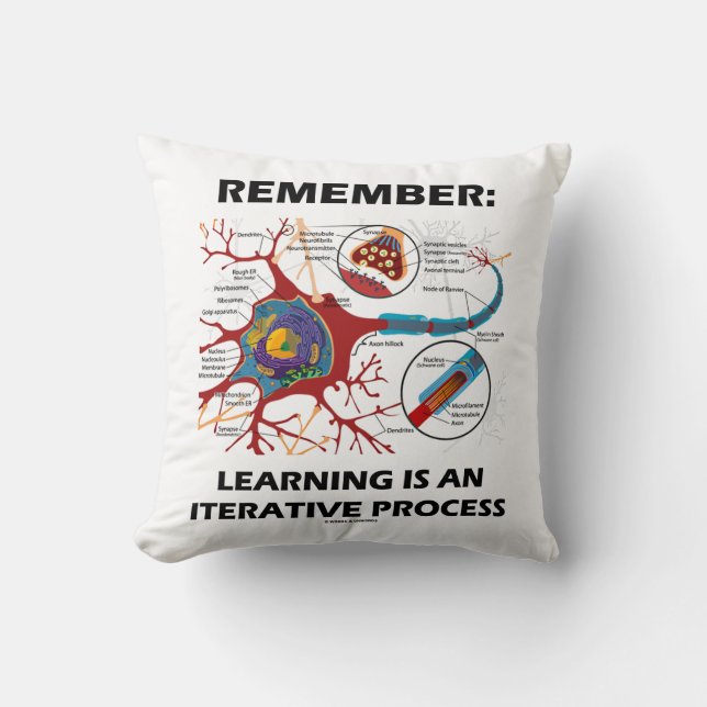 Remember: Learning Is An Iterative Process Synapse Cushion (Front)