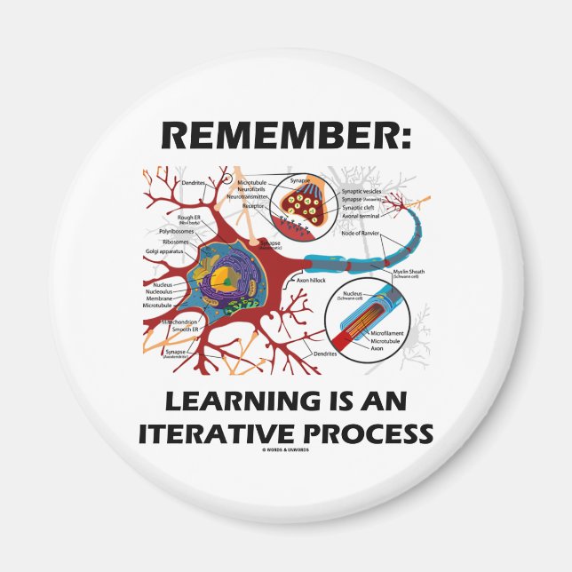 Remember: Learning Is An Iterative Process Synapse Magnet (Front)