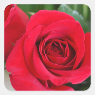 Remember Love Square Sticker