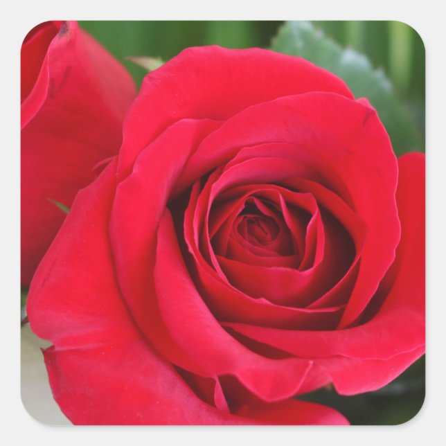 Remember Love Square Sticker (Front)