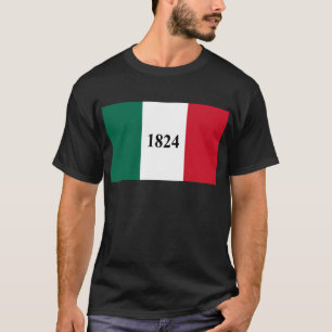 Remember the Alamo Texas State Flag T-Shirt