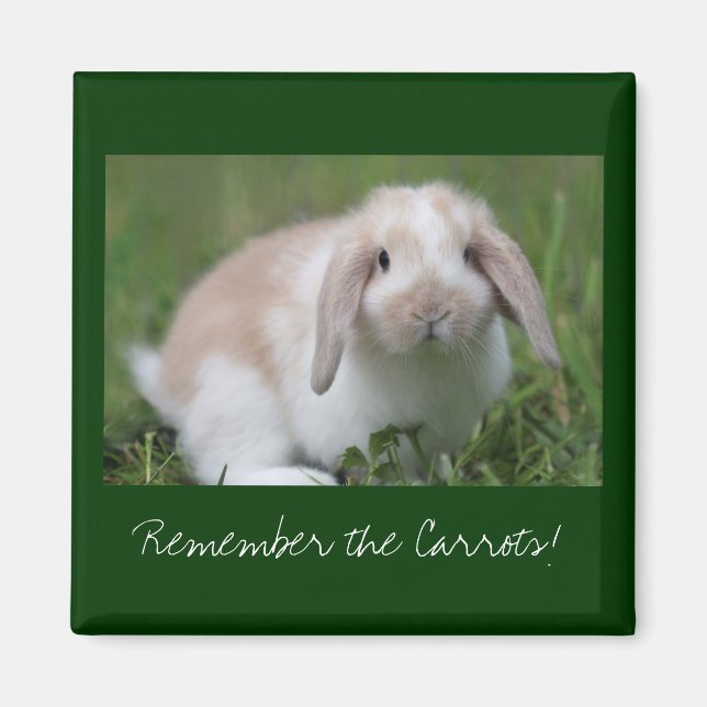 Remember the Carrots! Bunny Magnet (Front)