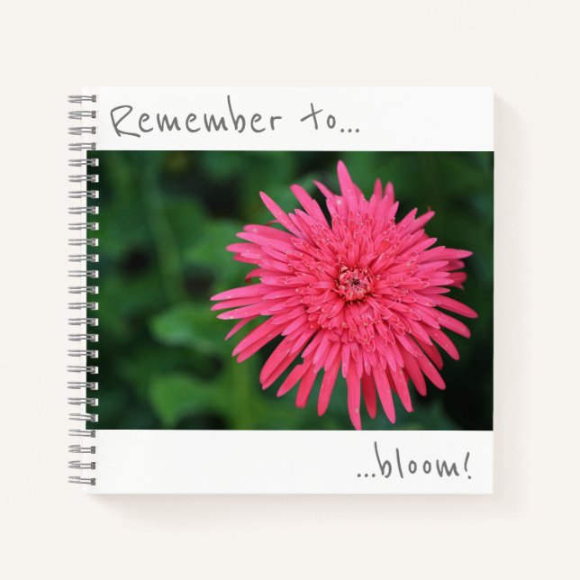 Remember to bloom Pink Chrysanthemum Notebook (Front)