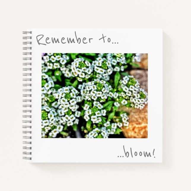 Remember to bloom Small White Flowers Notebook (Front)
