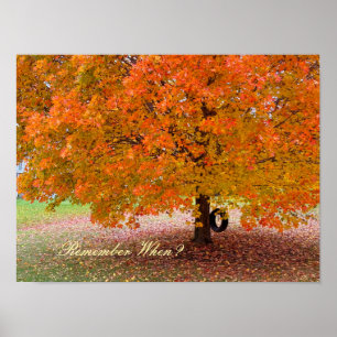 Remember When? Poster