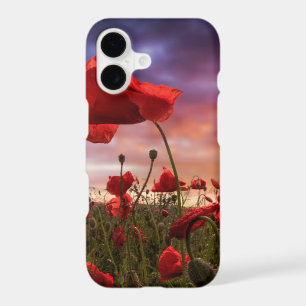 Remembering Field of Poppies