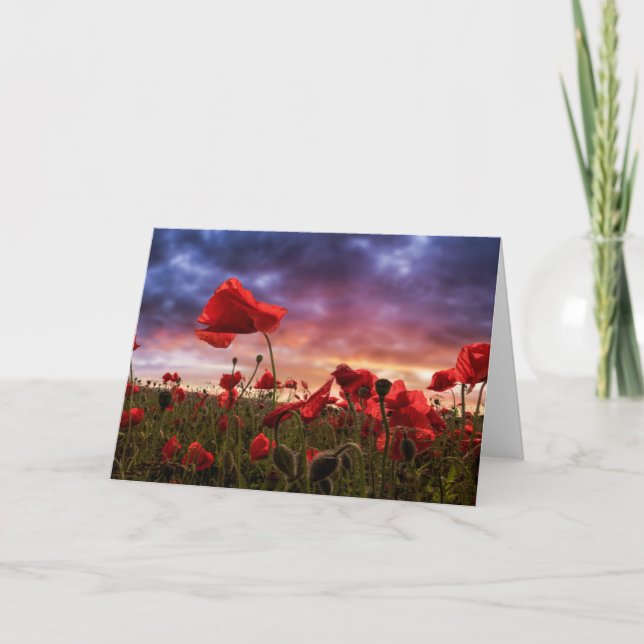 Remembering | Field of Poppies Card (Front)