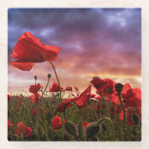 Remembering Field of Poppies Glass Coaster