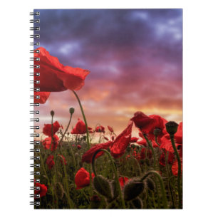 Remembering Field of Poppies Notebook
