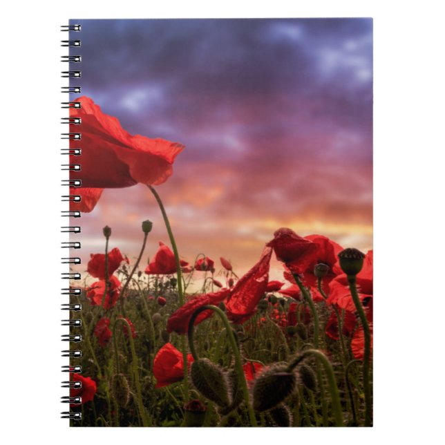 Remembering | Field of Poppies Notebook (Front)
