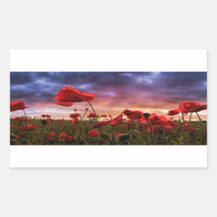 Remembering   Field of Poppies Rectangular Sticker