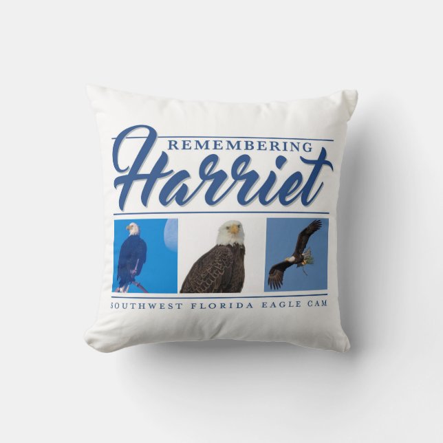 Remembering Harriet Throw Pillow (Front)