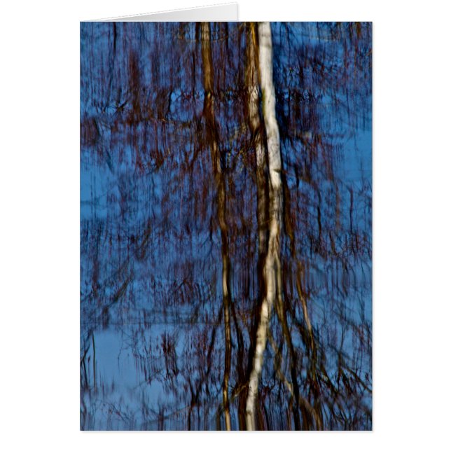 Remembering Monet (Front)