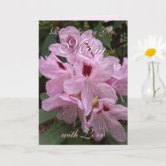 Remembering Mum Pink Rhododendron  Mother's Day Card (Small Plant)