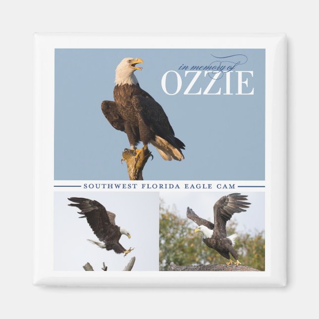 Remembering Ozzie Magnet (Front)