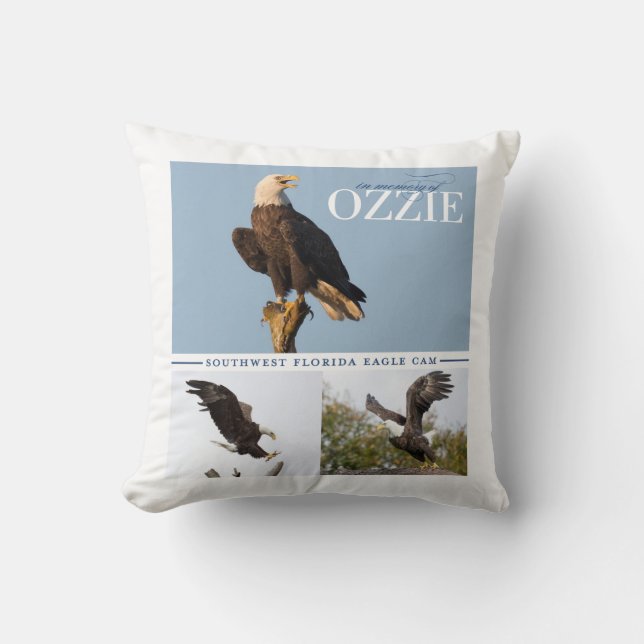 Remembering Ozzie Throw Pillow (Front)