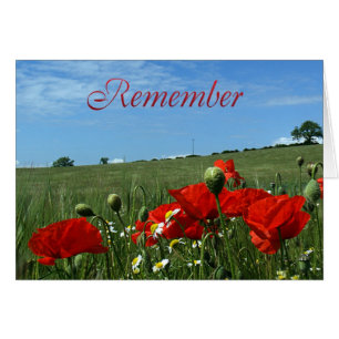 Remembrance Day Poppy Field
