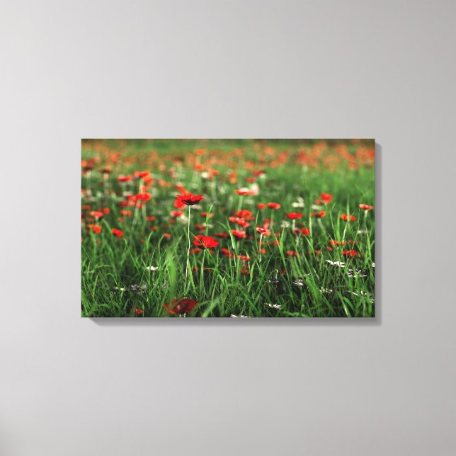 Remembrance (Remembrance Day) Canvas Print (Front)